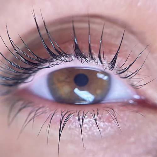 Centro di estetica avanzata Ale al Quadrato | Laminazione ciglia Laminazione ciglia | Centro estetico Ale al Quadrato